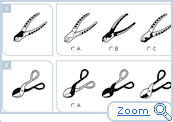 Zoom