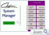 System Manager
